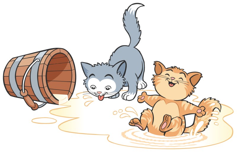 FunToSee_Funberry-Kittens