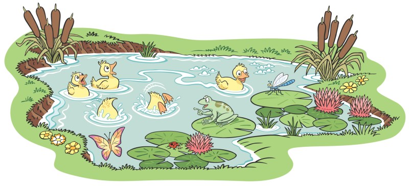 FunToSee_Funberry-Pond